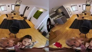 Amateur Blonde Blowjob Anal Fuck