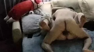 Stunning brunette hardcore on cam