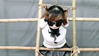 girl tightly stuff gagged and completely immobilized