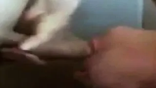 Upside-Down Amateur Throatfuck on Webcam