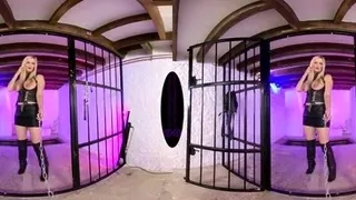 The English Mansion - Mistress Nikki Whiplash - Subterranean