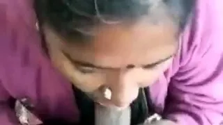 Amateur MILF blowjob cumshot