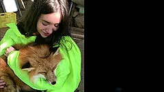 HD POV video of Gia Paige being fucked outdoors in public