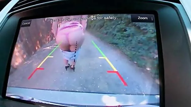 Curvy Kagney Linn Karter dances on stripper pole