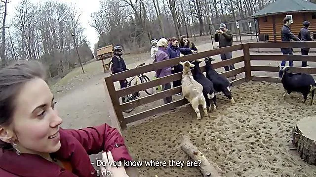 Fucking Glasses - Squirrel foretells hot anal sex