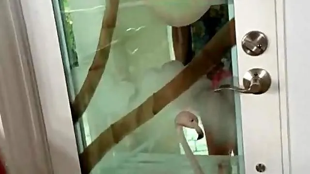 Angel Cassidy in blue high heels strips