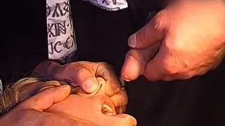 Fatty girl who loves big cocks warms up for a hardcore sex