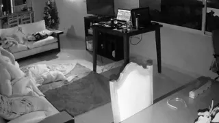 Amateur couple hidden cam