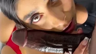 Hot babe interracial blowjob