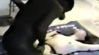 Wife Fucked In The Living Room (cuckold)