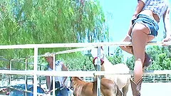 Hardcore sex on the bed with naughty brunette wife Tory Lane