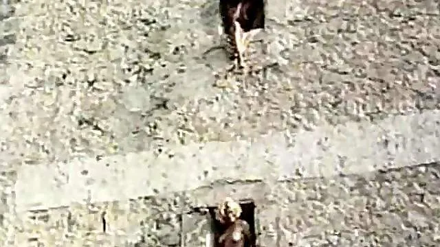 They have a retro threesome by the ocean