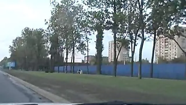 Public Blowjob in the Park 2