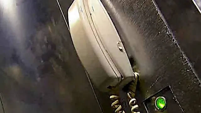 Dorky dude comes and lays this chick hard