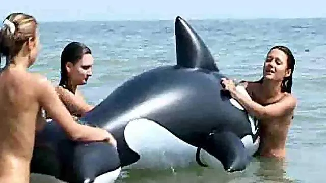 Come to the nude beach and see babes