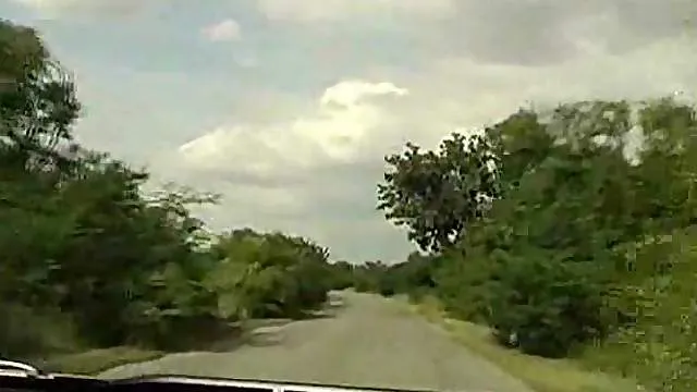 Chicks in the car having lesbian sex