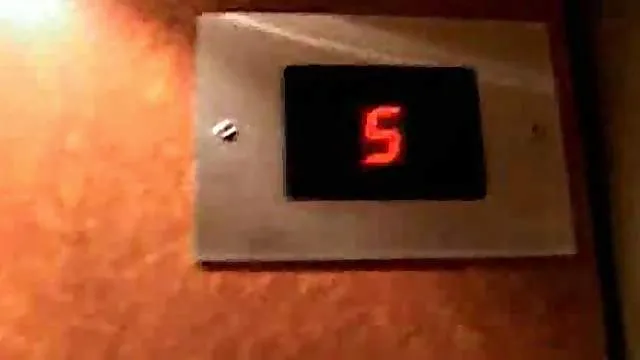 A tour of public sex locations for Dutch couples