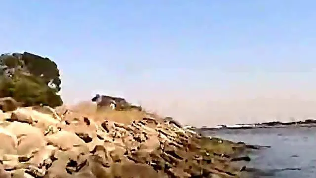 Girl flashing tits to stranger at picnic bench