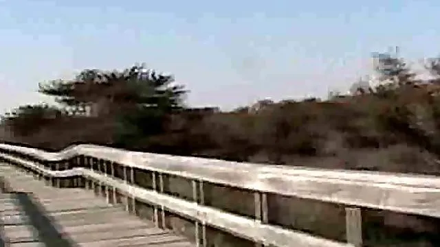 Pretty chick flashing her pussy at the beach