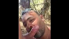 Bear sucks gay bear and man eats hot sperm