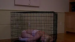 Caged blondie receives the spanking of her life she won't forget