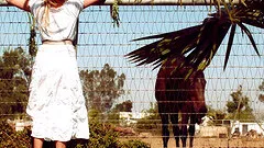 Fake tits Kelly doggystyle smashed while yelling outdoor