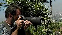 Dick craving Felecia joins her horny friends for an outdoor orgy