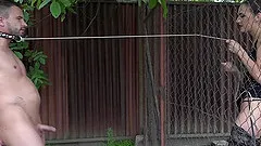 Miky Love makes a slave's cock hard while sucking on it