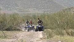 Judith Fox and Regina Ice have butt holes that can take dick all