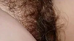 Hairy pussy close up