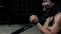 Brunette with small tits has a blast while sucking on a man's dong