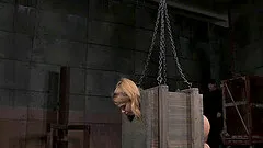 Boxed slave drilled hardcore roughly in BDSM porn shoot