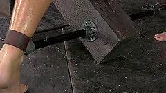 Slave refined hardcore doggystyle in BDSM torture shoot