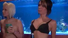 Group of babes getting fully naked while playing roulette