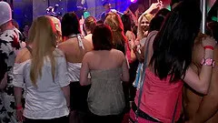 Salacious babes lean on drinking tables for hardcore doggystyle fucking at the club