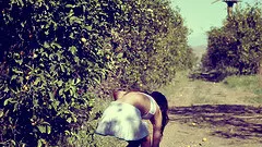 Amazing  Panty Fucking with a school doll besides a car