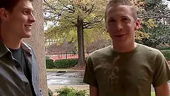 Stud administers sensual blowjobs to the fat cocks before stomaching rough anal throbbing