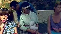 Wild group of friends organize an orgy outdoors fucking rough till they all wear out