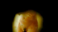 Cute amateur chick takes a shower in hidden cam video