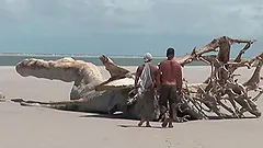 Brunette hussy Druuna Diva gets double penetrated on a beach