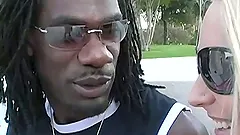 Cute Michelle Sweet And Her Skinny GF Go Wild With A Big Black Cock