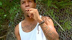 Magnificent Sean Evans Has Interracial Sex In Public