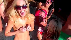 Another hardcore sex party is on your screens