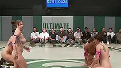 Four sexy girls in bikini fight and also fuck in a ring