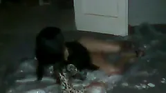 Tanned babes toy each other and then get ass fucked