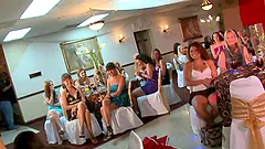 Smoking hot girls are having a party and a stripper is necessary