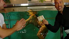 Victoria Blaze the sexy stripped gets fucked in public