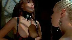 Two amazing girls in latex toy their tight asses with big dildos