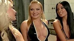 Two blondes and a brunette toy their hot asses