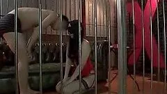 Fetish experiment over a sizzling Japanese sex doll